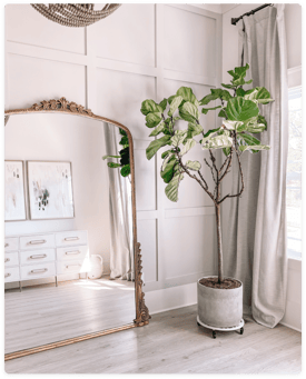 Anthropologie Mirror