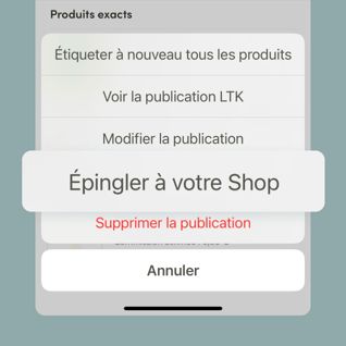 Image-Pinned-2-FR