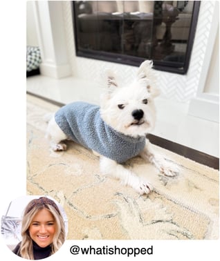 Barefoot dreams blue dog sweater